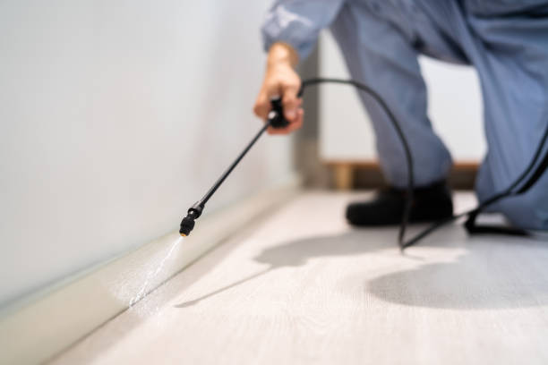 Licensed Mosquito Control service in Amelia Court House, VA - Nex Pest Control