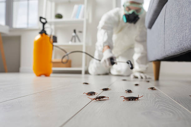 Trusted Emergency Pest Control service in Amelia Court House, VA - Nex Pest Control