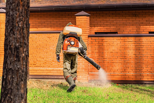 Trusted Termite Control service in Amelia Court House, VA - Nex Pest Control